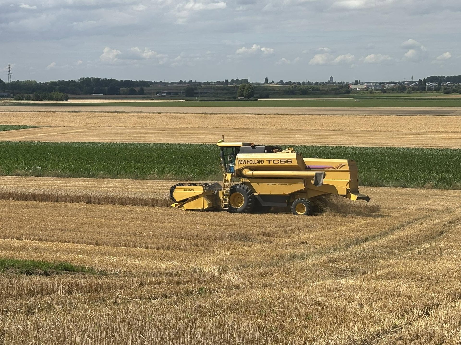 La moissonneuse récolte le blé dans les champs de la ferme