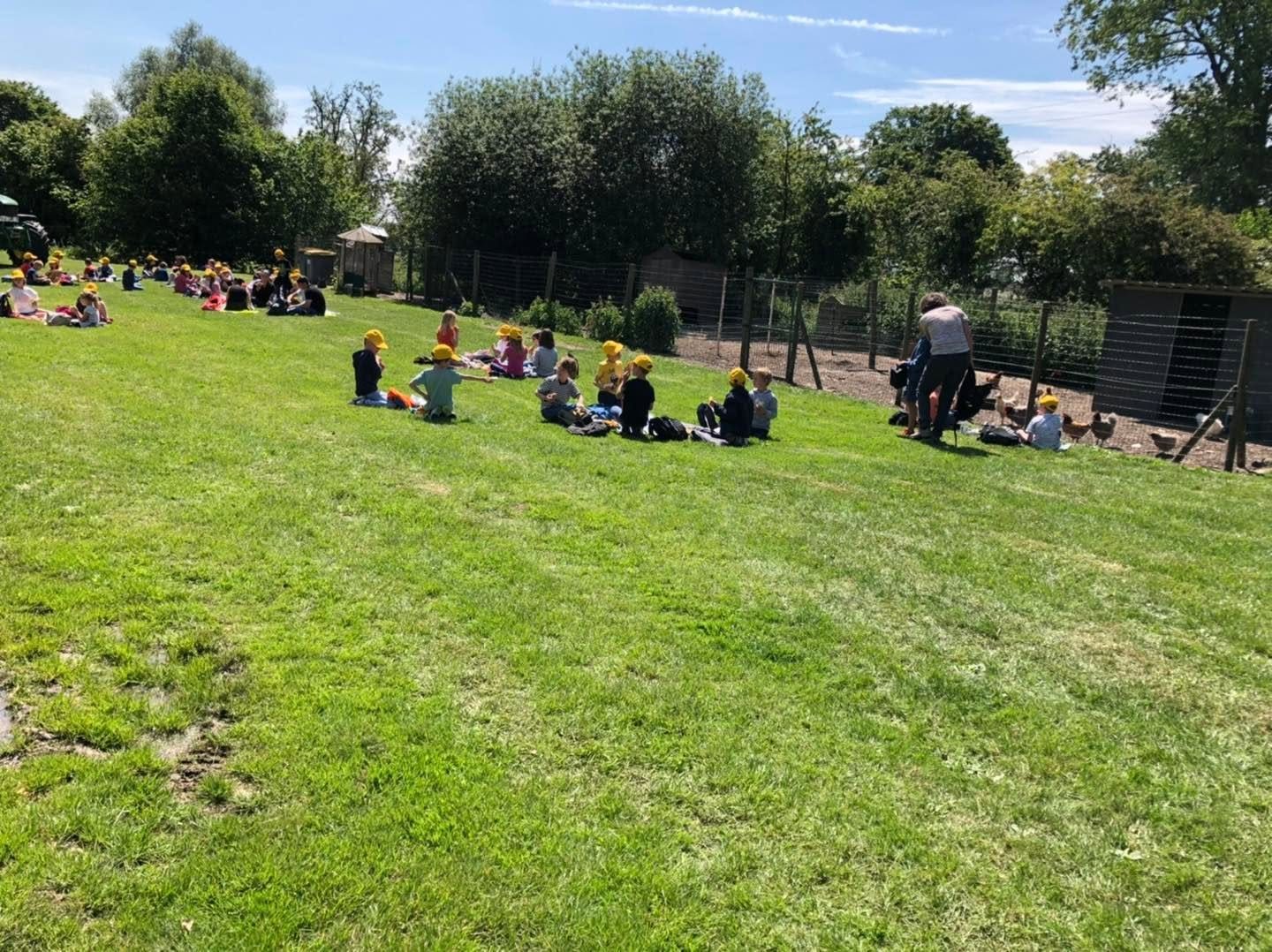 Une classe pique-nique sur l’herbe à la ferme